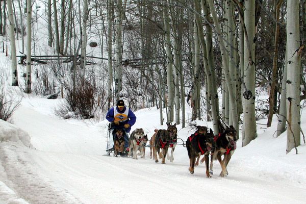 Racing through the aspens. Photo by Clint Gilchrist, Pinedale Online.