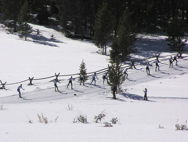 Into the trees. Photo by Pinedale Online.