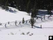 Into the trees. Photo by Pinedale Online.