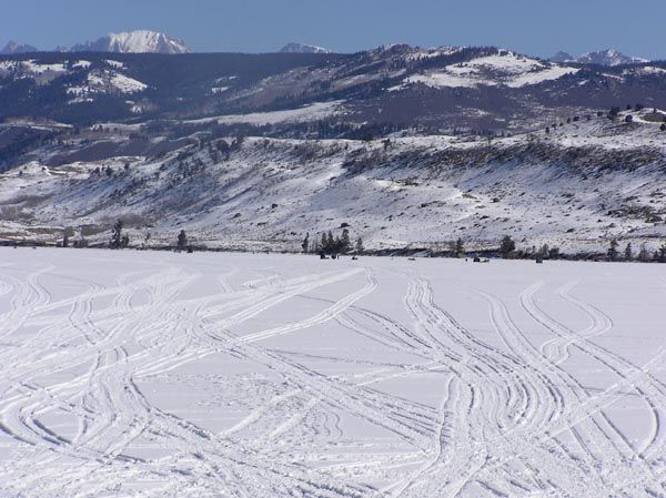 Tracks to their spots. Photo by Pinedale Online.