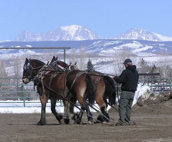 Warming up the team. Photo by Pinedale Online.