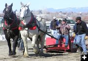 Light Weight Pull. Photo by Pinedale Online.