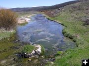 Kendall Warm Springs. Photo by Pinedale Online.