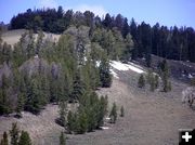 Snow coming off high. Photo by Pinedale Online.