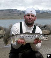 Tyson's Big Brown. Photo by Pinedale Online.