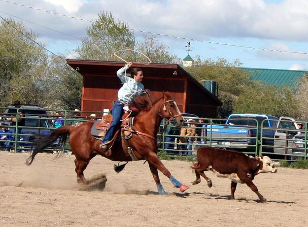 Break away roping. Photo by Pinedale Online.