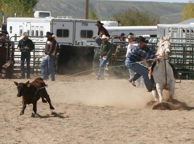 Calf Roper. Photo by Pinedale Online.