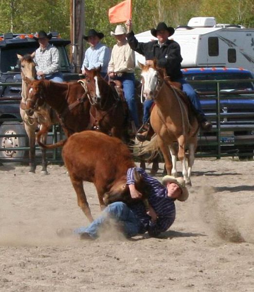 Steer Wrestling. Photo by Pinedale Online.