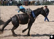 Bareback Rider. Photo by Pinedale Online.