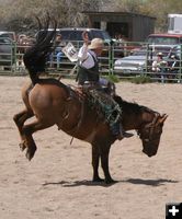 Saddle Bronc Ride. Photo by Pinedale Online.