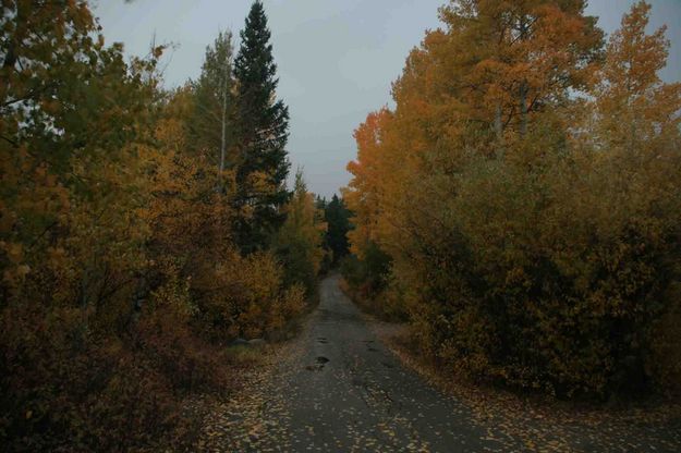 Fremont Campground Fall. Photo by Dave Bell.