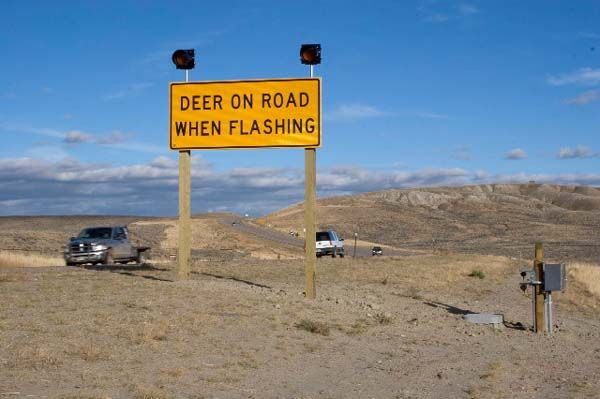 Wildlife Warning Signs. Photo by Wyoming Game & Fish.