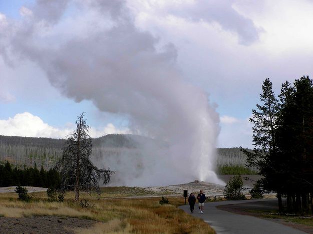 Old Faithful. Photo by Pinedale Online.