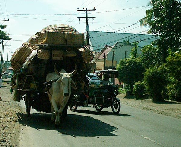 Life in the Phillipines. Photo by Burleigh Binning.