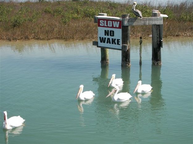 Texas Shore. Photo by Cyd Goodrich.