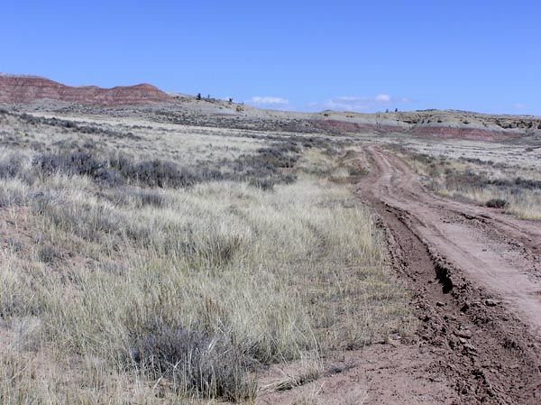 Backcountry roads. Photo by Pinedale Online.