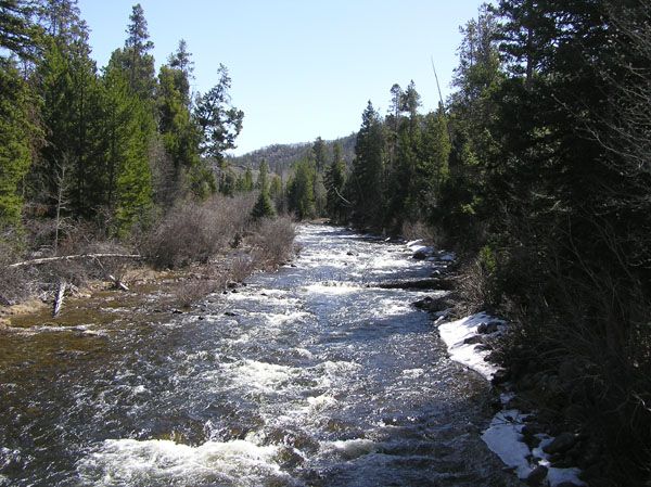 Boulder Creek. Photo by Dawn Ballou, Pinedale Online.