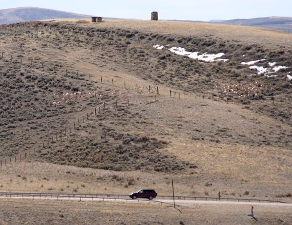 A brief pause. Photo by Clint Gilchrist, Pinedale Online.