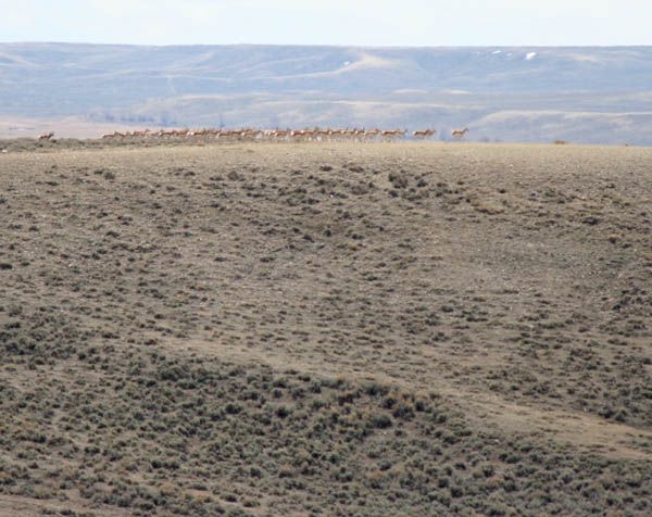 To the west. Photo by Clint Gilchrist, Pinedale Online.