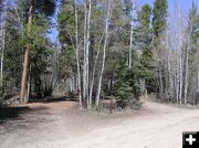 Pull-through camp spot. Photo by Dawn Ballou, Pinedale Online.