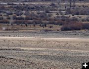 Main group cross. Photo by Clint Gilchrist, Pinedale Online.