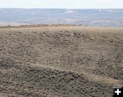 To the west. Photo by Clint Gilchrist, Pinedale Online.