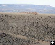 Top of the hill. Photo by Clint Gilchrist, Pinedale Online.