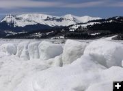 Snow Sentinals. Photo by Pinedale Online.