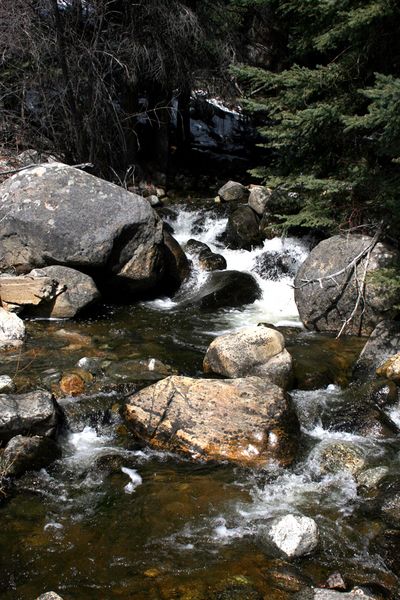 Creek. Photo by Pam McCulloch.