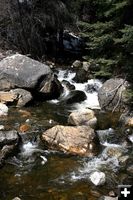 Creek. Photo by Pam McCulloch.