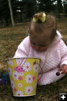 Easter Bucket. Photo by Pam McCulloch.