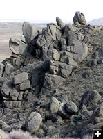 Prickly Pear Rocks 2. Photo by Alan Svalberg, Jason Brown.