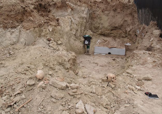 Bones near where they were found. Photo by Dave Vlcek.