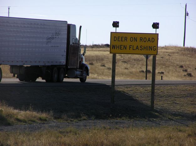 Deer on Road Sign. Photo by Dawn Ballou, Pinedale Online.