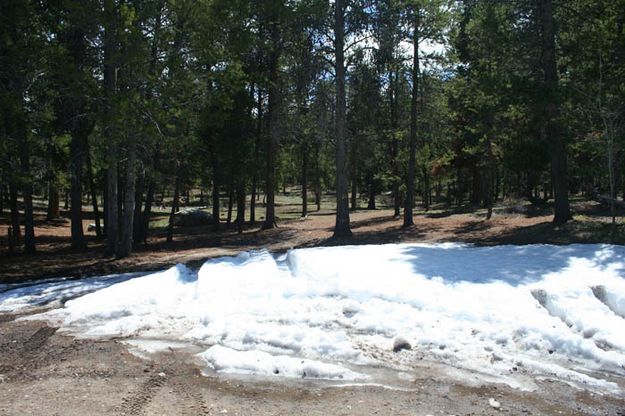 Remnant Snow. Photo by Garrett Bardin.