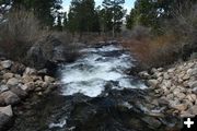 Fall Creek. Photo by Alan Svalberg.