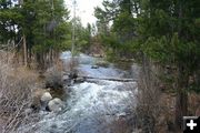 Tumbling Fall Creek. Photo by Garrett Bardin.