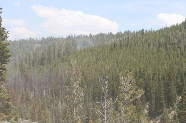 South Side Horse Creek. Photo by Dawn Ballou, Pinedale Online.