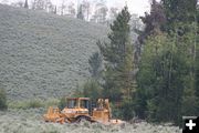 Dozer sits ready. Photo by Dawn Ballou, Pinedale Online.