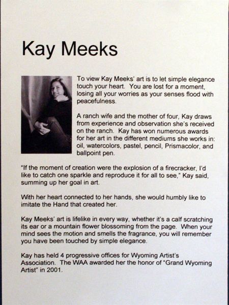 Kay Meeks. Photo by Dawn Ballou, Pinedale Online.