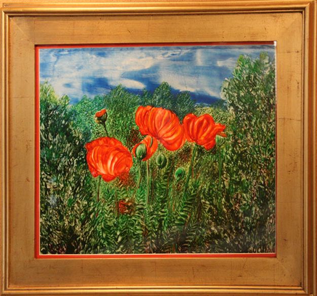 Poppies. Photo by Dawn Ballou, Pinedale Online.