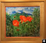 Poppies. Photo by Dawn Ballou, Pinedale Online.