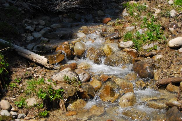 Mountain Water. Photo by Julie Soderberg.