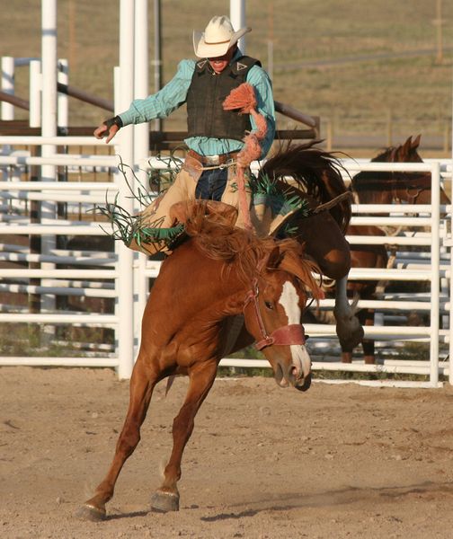 T.J. Patik. Photo by Clint Gilchrist, Pinedale Online.