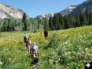 Gros Ventre Wilderness. Photo by Laurel Barrett.