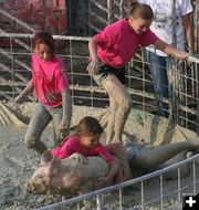 Pink Piggies. Photo by Dawn Ballou, Pinedale Online.