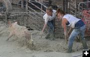 Mudders. Photo by Dawn Ballou, Pinedale Online.