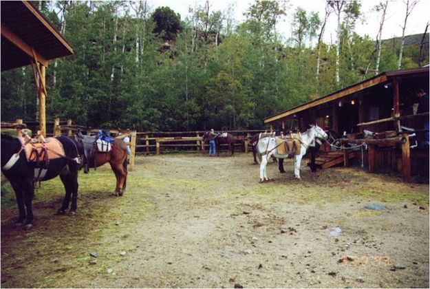 Working with horses. Photo by Half Moon Lake Resort.