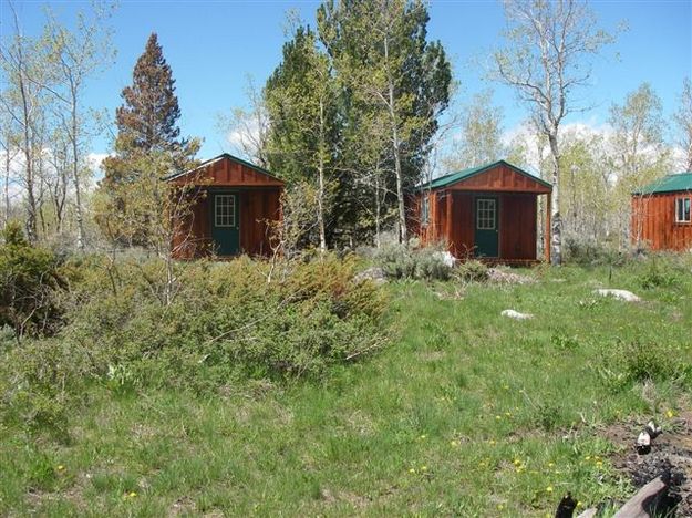 Burnt Lake Cabins. Photo by Half Moon Lake Resort.