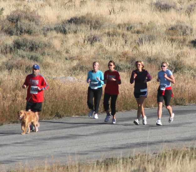 Walking the dog. Photo by Dawn Ballou, Pinedale Online.